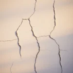 Fissure en façade : microfissure, faïençage ou lézarde, laquelle est grave