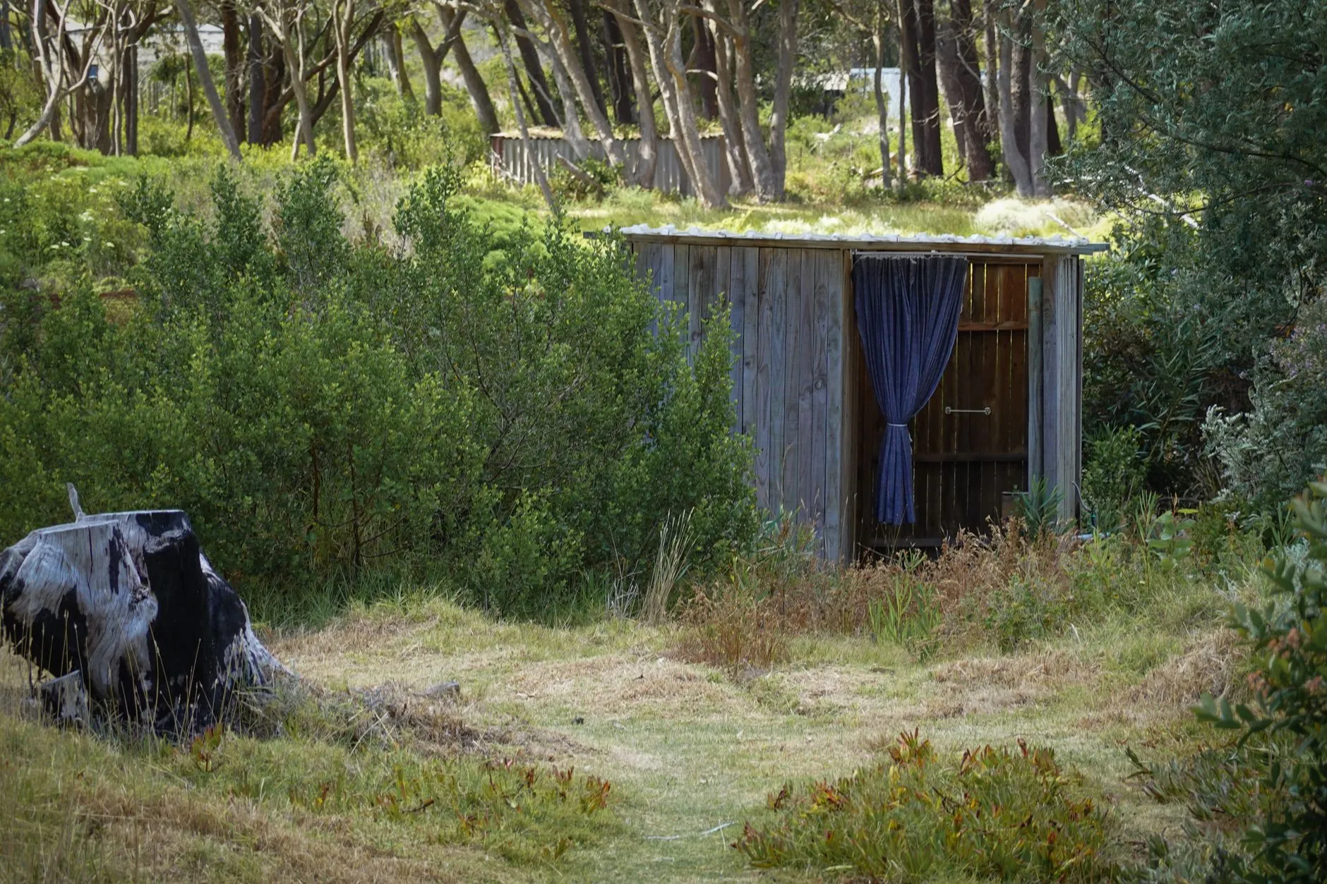 Un abri de jardin en bois installé dans un jardin résidentiel, soumis aux règles d'urbanisme dès 5 m² de surface